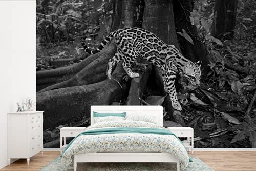 MuchoWow Papier peint Ocelot dans la jungle du Costa Rica en noir et blanc Papier peint photo 450x300 cm Papier peint imprimé