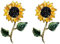 Broche De Tournesol Broche Broche Épingle Cristalline Fleur De Fleur