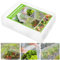 Garden Insect Netting Fine Mesh Vegetable Protection, 3 x 10m Garden Netting Plant Cover Fruit Crops Bug Mesh Netting