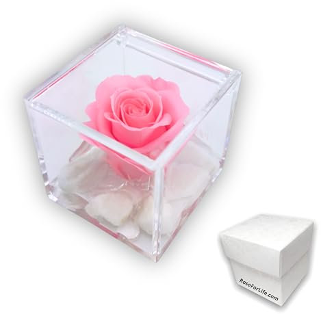 Cubo Rosa Rosa Vera Stabilizzata e Profumata da 5 cm con Marmo di Carrara | Rose stabilizzate Vere, Idea Regalo bomboniera Ragazza, Bambina, Amica,Regalo bomboniere | Fatto in Italia (Rosa 1055)