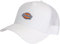 Dickies Hanston Trucker Cap (Cloud, one Size)