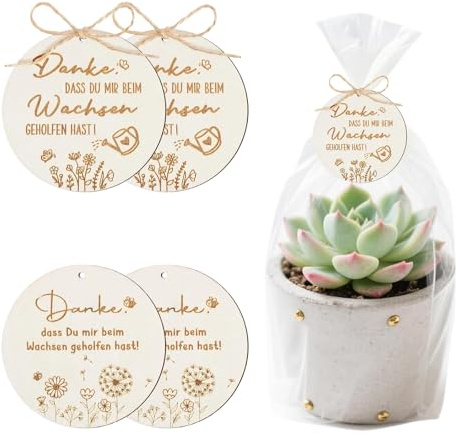 4 Stück Holz Anhänger Danke Dass Du Mir Beim Wachsen Geholfen Hast, Pflanzenetiketten Danke Geschenk für Dekorative Blumentöpfe, Erzieherin Geschenk, Abschiedsgeschenk Erzieherin