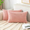 EMEMA Kissenbezug 30x50 cm Kordsamt Kissenbezüge Dekokissen Sofakissen Cord Kissenhülle Zierkissenbezug Kord Dekorative Weiche für Sofa Wohnzimmer Schlafzimmer 2er Set Rosa