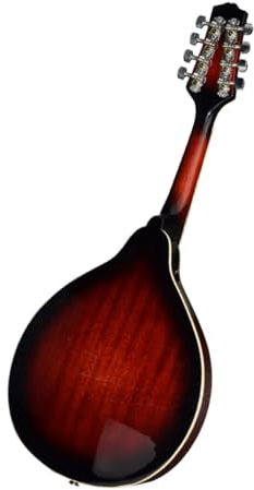 Instrumento De Cuerda Mandolina Eléctrica Instrumento Musical Mandolina Eléctrica Y Acústica Mandolina De Doble Propósito