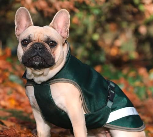 Bucas Freedom Dog Rug Hundemantel 50g Opal/Taupe, Größe:40 cm