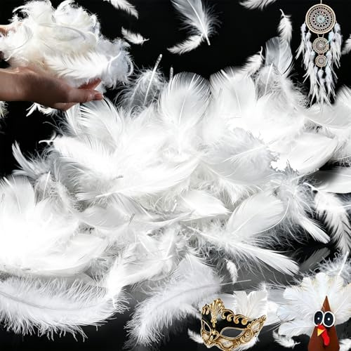 SUpoetry 200 Stück Federn zum Basteln Weiß Federn, Natürliche Feder Weich Federn, DIY Weiß Federn Bastelfedern Dekorationen für Traumfänger Basteln Hochzeit Party Deko Baum Ornament Handwerk Schmuck