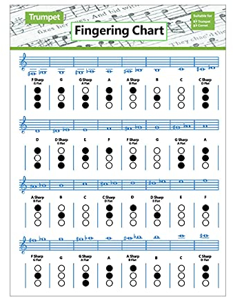 Trompeten-Übungstabelle | Grifftabelle für Trompete | Trompeten-Akkord-Poster Grifftabelle Akkordnote Musikinstrument Referenzanleitung für Anfänger