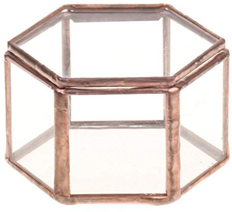 Cusstally Geometrisches Glas Terrarium Schmuckbox Glasdose Sukkulente Topf Hexagon Form