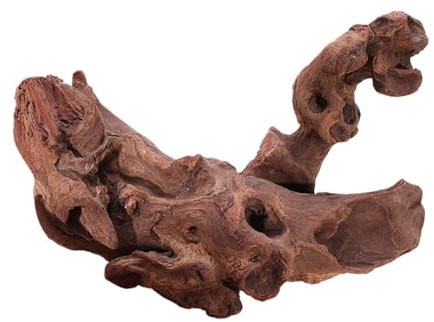 Qianly Ornement de Tronc en Bois flotté pour Aquarium, décoration en Bois flotté, Branche de Reptiles, décoration d'aquarium, 20 cm à 25 cm