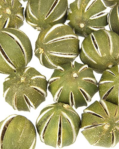 Floralcraft 25Pcs Dried Green Whole Oranges - Fresh Scented Dried Fruit Whole Oranges For Christmas Wreath Garlands, Pot Pourri, Florist Décor