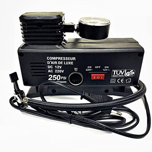 tempo di saldi Mini Compressore Compatto Ad Aria con Manometro per Pneumatici DC 12V E AC 220V
