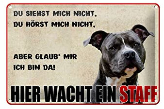 FEMER Blechschild Hinweis 30x20cm Hund Hier wacht EIN Staff