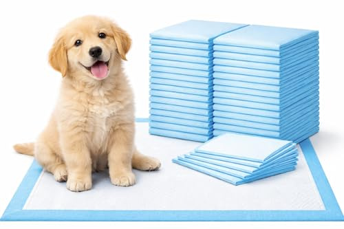 1ABOVE Heavy Duty Super Absorbent Fast Drying Puppy Training Pads | 5 Layers Leak Proof Design | Non-Woven Fabric | Water Resistance Back Sheet | pack of 50 (BLUE, 60X45, 50, count)