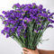 400 Pcs Vergissmeinnicht Samen - Myosotis Alpestris - Ausgefallene Geschenke, Bodendecker Winterhart Mehrjährig Vergiss Mein Nicht Samen, Blumensamen Mehrjährig Winterhart, Balkonpflanzen