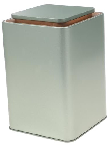 Alipis 2 Pièces Réservoir de stockage en fer bidon à usage quotidien fournitures de stockage bocaux hermetiques alimentaires coffret de the bidon de cuisine de e de fer