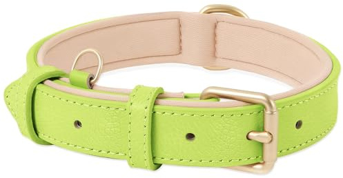 HEELE Hundehalsband Leder Hundehalsband mit gepolstert und echtes Leder, Verstellbar, Halsband für Welpen Kleine Hunde, RasenGrün, S
