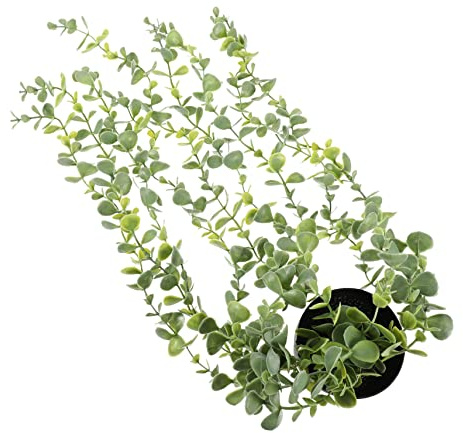 ibasenice Plante Artificielle Suspendue avec Pot Fausse Plante Deucalyptus Décorative Pot Vert Suspendu Réaliste pour Intérieur Durable Entretien