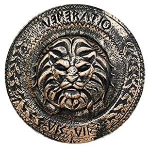 Proumhang Römisches Spielzeug Schild für Kinder Prinz Schild Gold und Silber Gladiator Schild Fancy Dress Waffenset Teil Einer Kinder kostüm Linie Stil 3