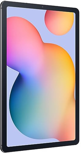 Samsung Galaxy Tab S6 Lite LTE Enterprise Edition, penna inclusa, tablet Android da 10,4, 128 GB, batteria 7040 mAh, tablet business, grigio (Ricondizionato)
