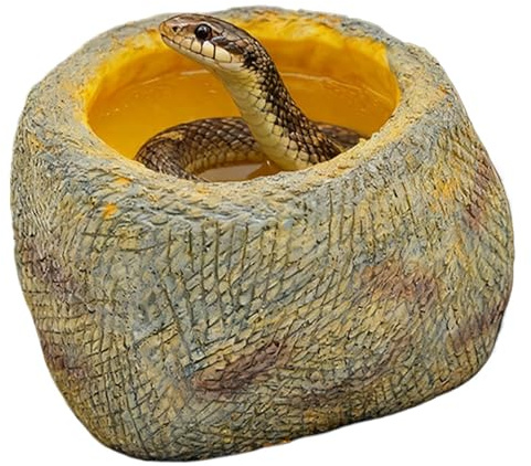 Reptilskål Bred bas halkfri matskål | Tillbehör till terrarium för reptiler för Ödlor, Gecko, Spindel, – Att Dricka och Bada i Bur Inomhus