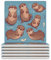 Untersetzer-Set, 6 Stück, niedliche braune Otter-Untersetzer für Couchtisch, saugfähige Keramik-Untersetzer mit Korkboden, quadratische Untersetzer, rutschfest, 9,4 x 9,4 x 0,8 cm