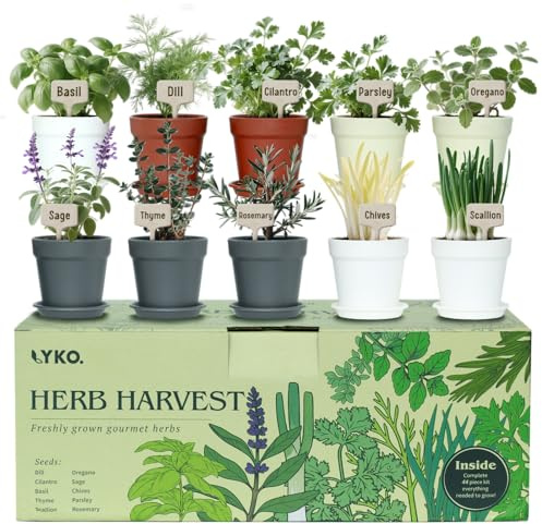 Kit de 10 herbes aromatiques d'intérieur, 33 pièces comprenant des pots de 4 couleurs, de la terre et des outils, une idée cadeau unique pour les amateurs de plantes, les femmes, les hommes, les