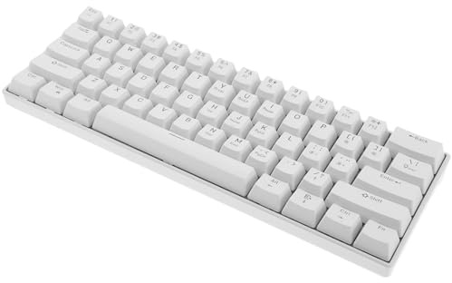 BATHVEVE Clavier Mécanique Solide Filaire 61 Touches Blanc avec Rétroéclairage RGB pour PC et Ordinateur Portable, Gaming Travail