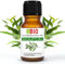 Eucalipto Bio Aceite Esencial 100% Puro 30 ml - Uso Alimentario Terapeutico Cosmetico Aromaterapia - Laborbio