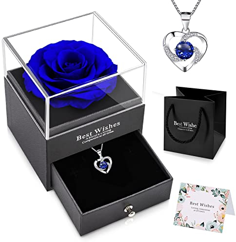 NEWUPZSI Echte Ewige Rose Blumen Schmuck blau Geschenk Frauen mit Splitter Halskette Konservierte Rose für Valentinstag, Muttertag, Geburtstag