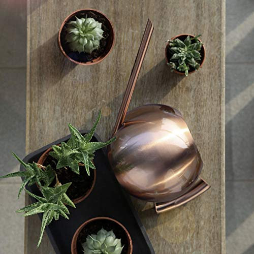 aqxreight Regadera de Acero Inoxidable, Herramienta de Plantas y Flores de Jardín de Boca Larga para Regar (Bronce)