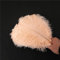 10 Stück 25-30cm Natürliche Straußenfedern,Strauß Feder zum Basteln,Bastel Federn für DIY Traumfänger Zubehör,Heimdekoration,KostüMe,Tischdeko Hochzeit Party Fest Hüte Kleidung Dekoration,Champagner