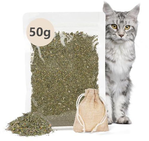OSDUE Herbe à Chat, 50g Herbe à Chat Naturelle de Qualité Supérieure, Herbe Aux Chats Rend Votre Chat Heureux, Stimulante et Digestive, a Utiliser Encas pour Le Chat, Convient à Tous Les Chats