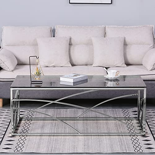 ZOONFA Stainless Steel Glass Coffee Table- 120cm Rectangle Chrome and Dark Grey Glass Top Stylish Center Table for Living Room