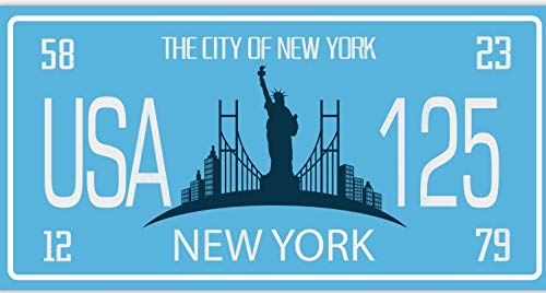 OPO 10 - Placa de matrícula de Coche USA - réplica en Metal 30x15 cm: Ciudad DE Nueva York (8137)