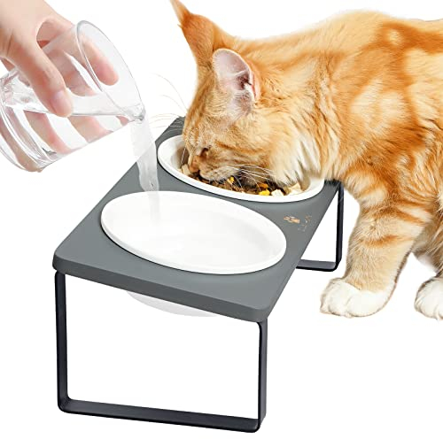 GUUSII HOME Futterstation Katzen Erhöht Katzen Fressnapf Katze Erhöht Ergonomischer Katzennapf Erhöht Keramik Napf Katzennapf Futternapf Katze Fressnapf Holz Keramik (Grau)
