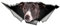 Auto Sticker Autoaufkleber 22Cm(8.66 In) Windhund-Auto-Aufkleber Zerrissener Metall-Aufkleber, Reflektierende Aufkleber, Fenster, Auto, Stoßstange, Dekoration, Haustier, Hund, Aufkleber (Csyj1S27282)