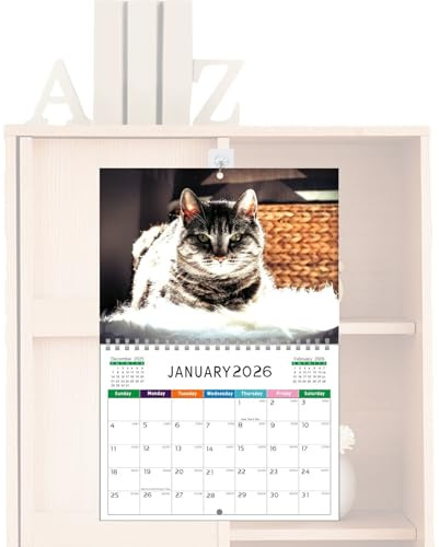 Kalender 2026, lustiger Wandkalender 2026, Monatsplaner von Januar bis Dezember, zur Dekoration von Haus, Büro, Klassenzimmer, Wohnzimmer