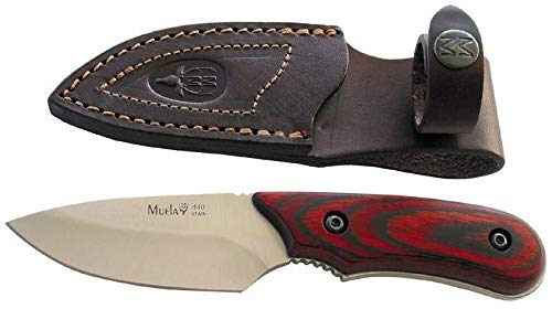 Muela Cuchillo Ibex IBEX-8.OL hoja de acero MoVa de 8 cm y empuñadura de madera coral para Caza, Pesca, Supervivencia y Bushcraft Realizado en Ciudad Real + Portabotellas de regalo