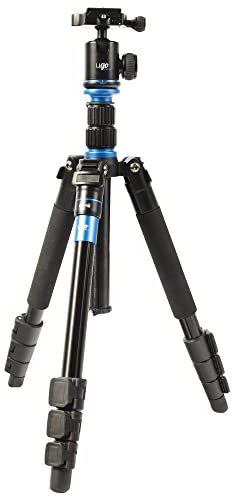 New Wave u.go Anywhere Pochade Box Stativ Modell LCS1