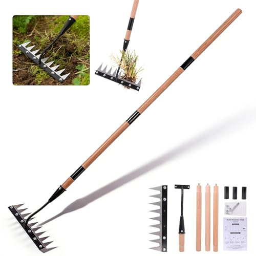 Gardenia 9-Tine Iron Weeding Rake, Heavy Duty Weed Puller for Garden Soil