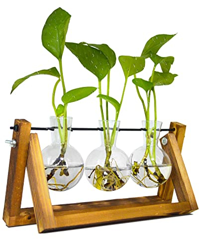 Propagation Station, Ableger Pflanzen Glas für Hydroponische Pflanzen, Pflanzenterrarium mit Holzständer Schmücken Büro, Esstisch, Interieur(3 Bulb Vase)
