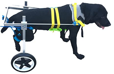 ZXLX Rollstuhlwagen für Dackel und Katze, behinderte Hinterbeine, Vorderbeine, Haustier-Rollstuhl mit weichem Geschirr, verstellbare Handicap-Räder (Größe: 10–16 kg)