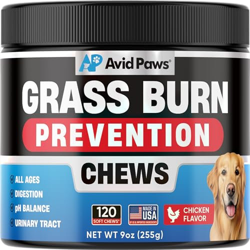 Neutralizzatore di urina per prato – erba verde masticabile per cani aiuta a bruciare il prato dall'urina del cane – Neutralizzatore per erba per cani – salva erba per urina del cane – alternativa