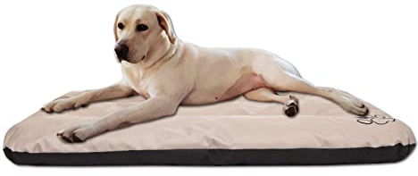 millybo ECO Hundematratze, Hundebett für Kleine, Mittlere, Große Hunde - wetterfestes Hundekissen, kuscheliges Schaum Tierbett, Outdoor & Robustes Hundematte - 90x60x8 cm Beige