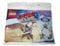 LEGO The Movie 2 Mini Master-Building MetalBeard Polybag Set 30528