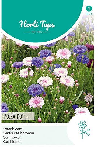 Hortitops 14175 Kornblume Polka Dot Niedrige Mischung (Kornblumensamen)