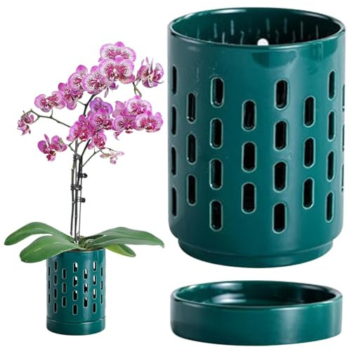 Macetas de orquídeas huecas con agujeros y platillos, maceta de orquídea de cerámica pequeña de 4 pulgadas, sembradora de orquídeas de drenaje y ventilación efectiva para macetas interiores/al aire l
