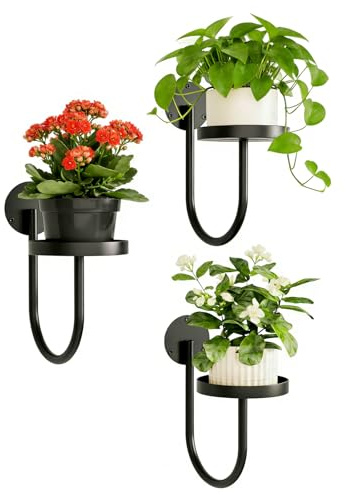Vexnaro Soporte para Plantas de Pared, Estante Colgante de Metal Negro con Diseño, Ideal para Macetas y Decoración del Hogar, Plantas de Interior, Perfecto para Salón, Balcón o Ventana