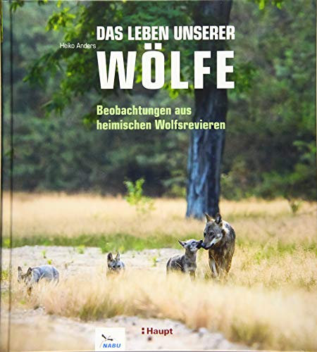 Das Leben unserer Wölfe: Beobachtungen aus heimischen Wolfsrevieren