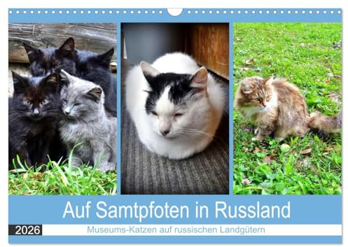 Auf Samtpfoten in Russland - Museums-Katzen auf russischen Landgütern (Wandkalender 2026 DIN A3 quer), CALVENDO Monatskalender: Katzen auf den ehemaligen Landgütern russischer Dichter (CALVENDO Tiere)